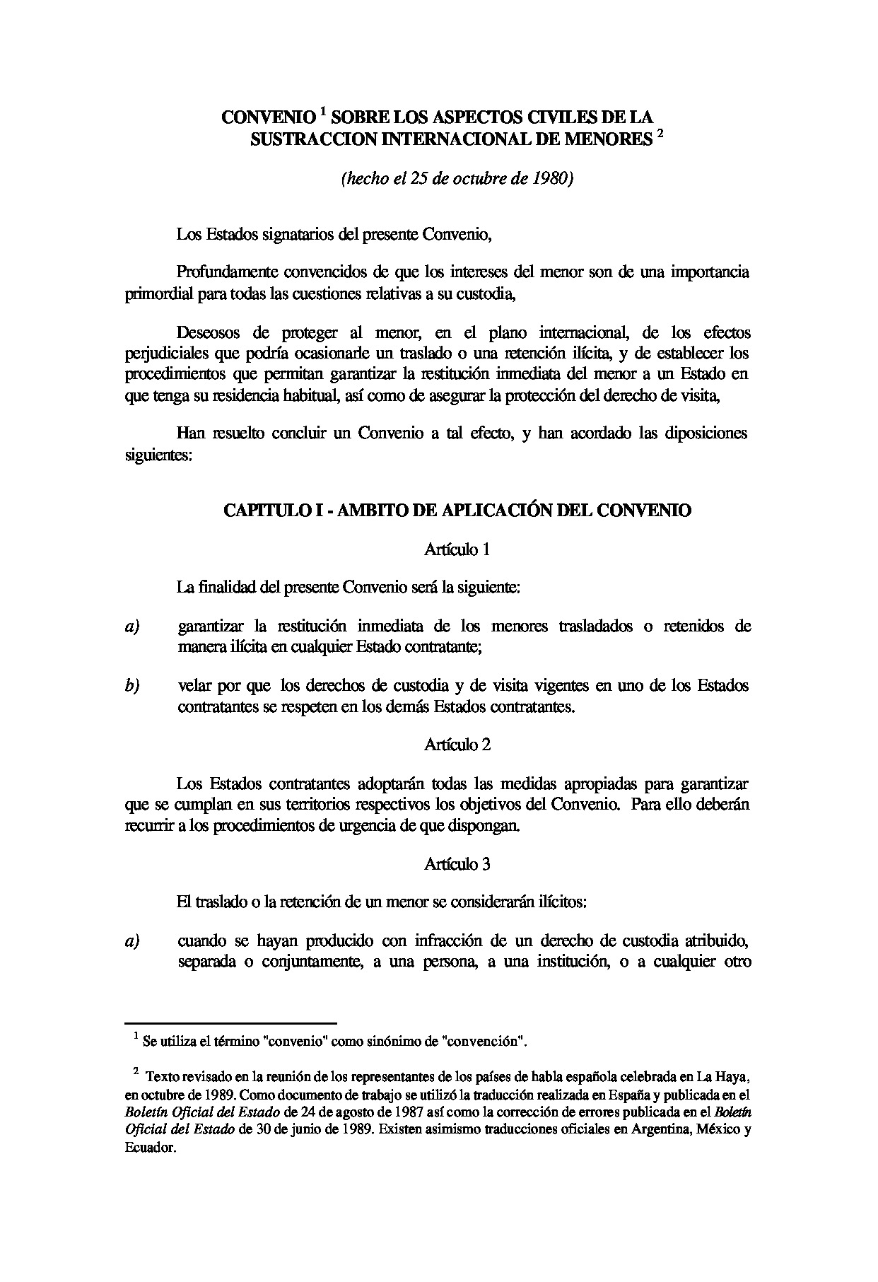 Preview archivo adjunto