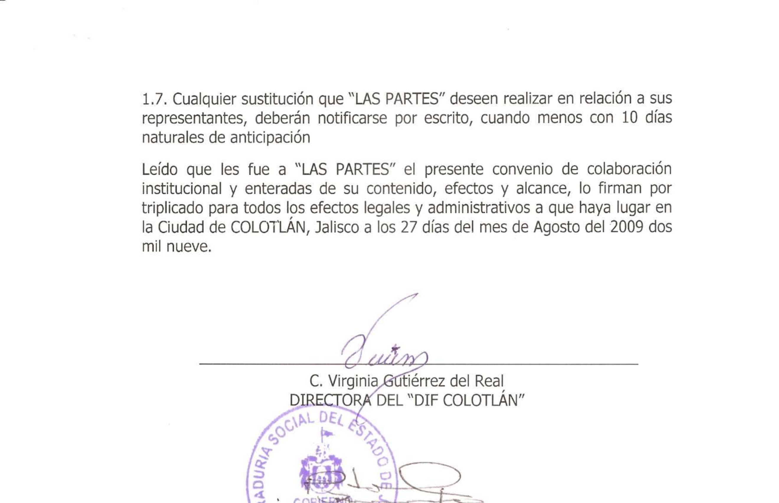 Preview archivo adjunto