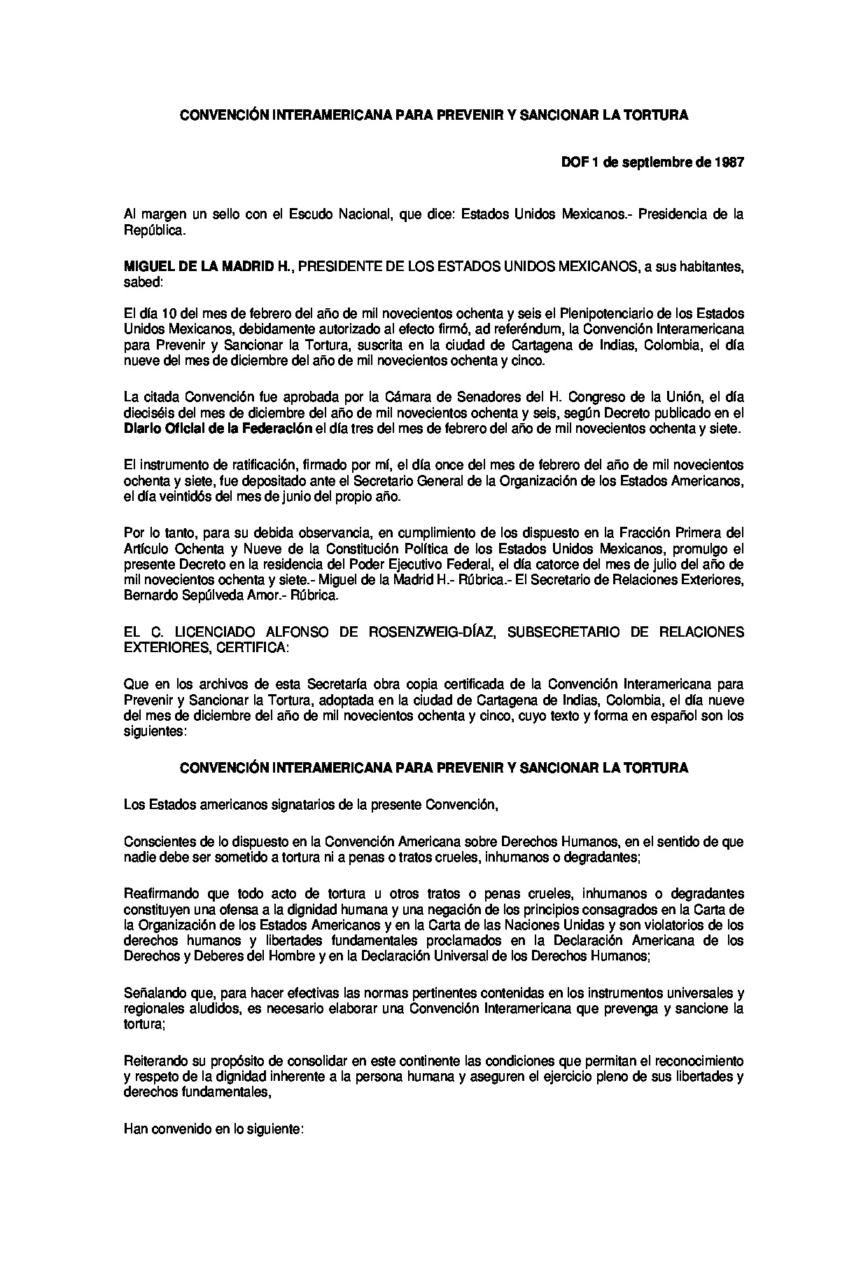 Preview archivo adjunto