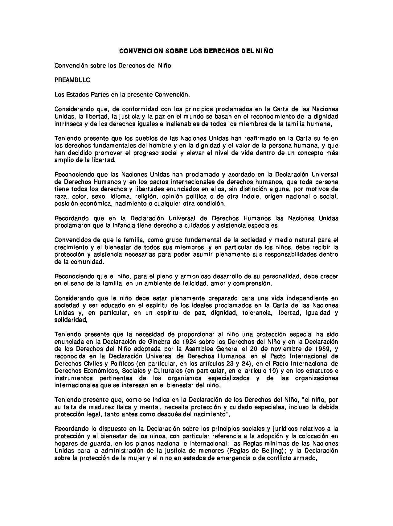 Preview archivo adjunto