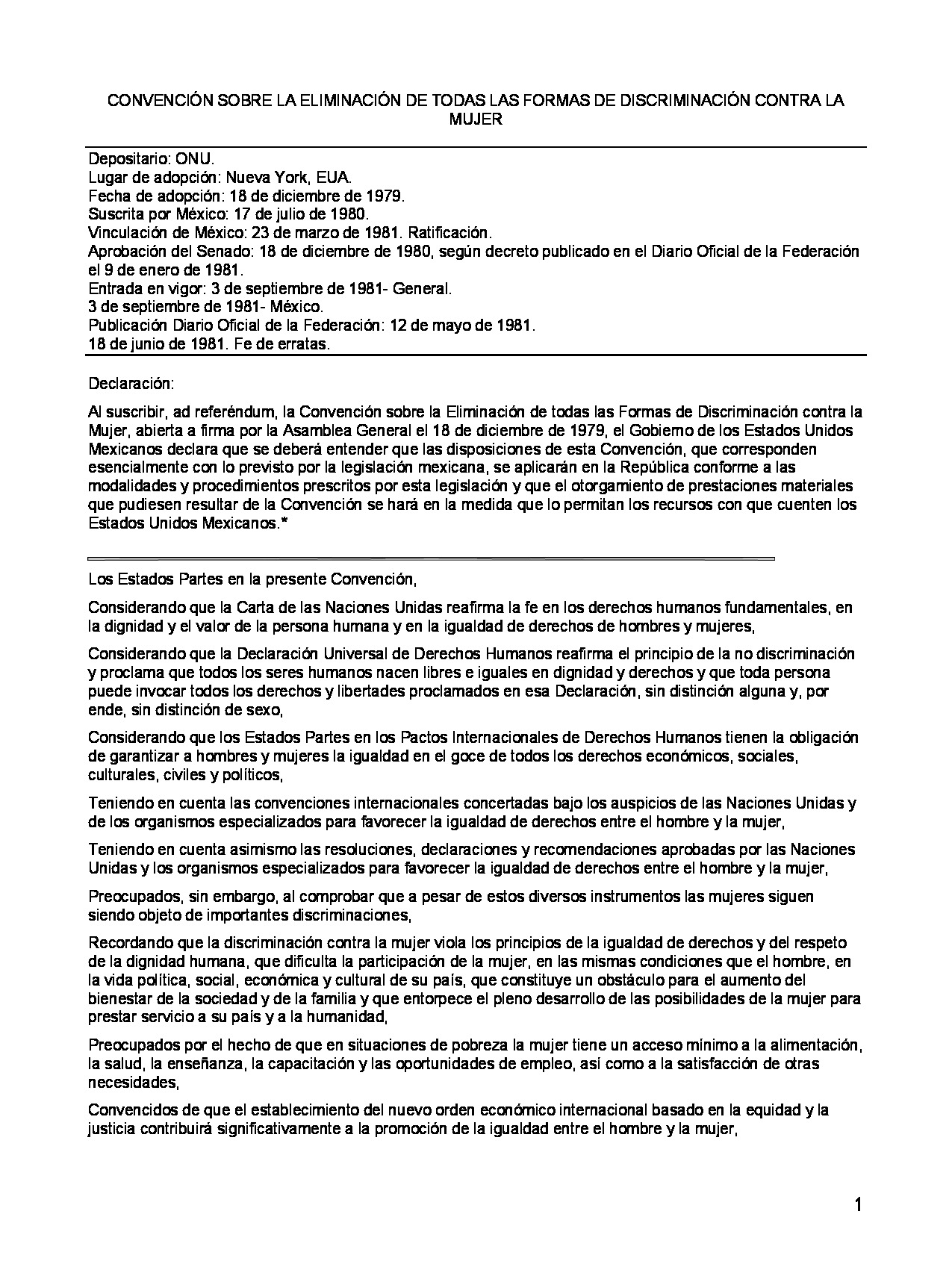 Preview archivo adjunto