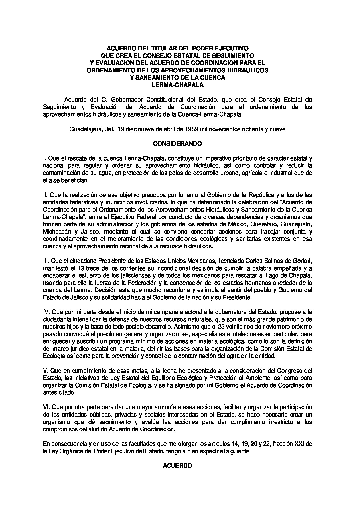 Preview archivo adjunto