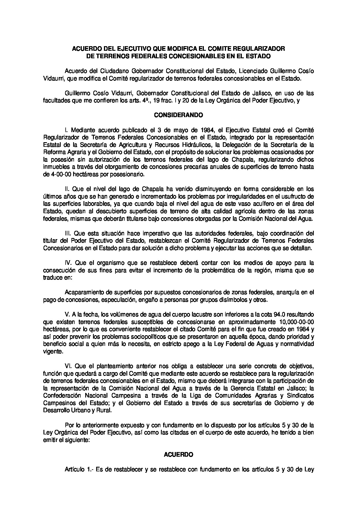 Preview archivo adjunto