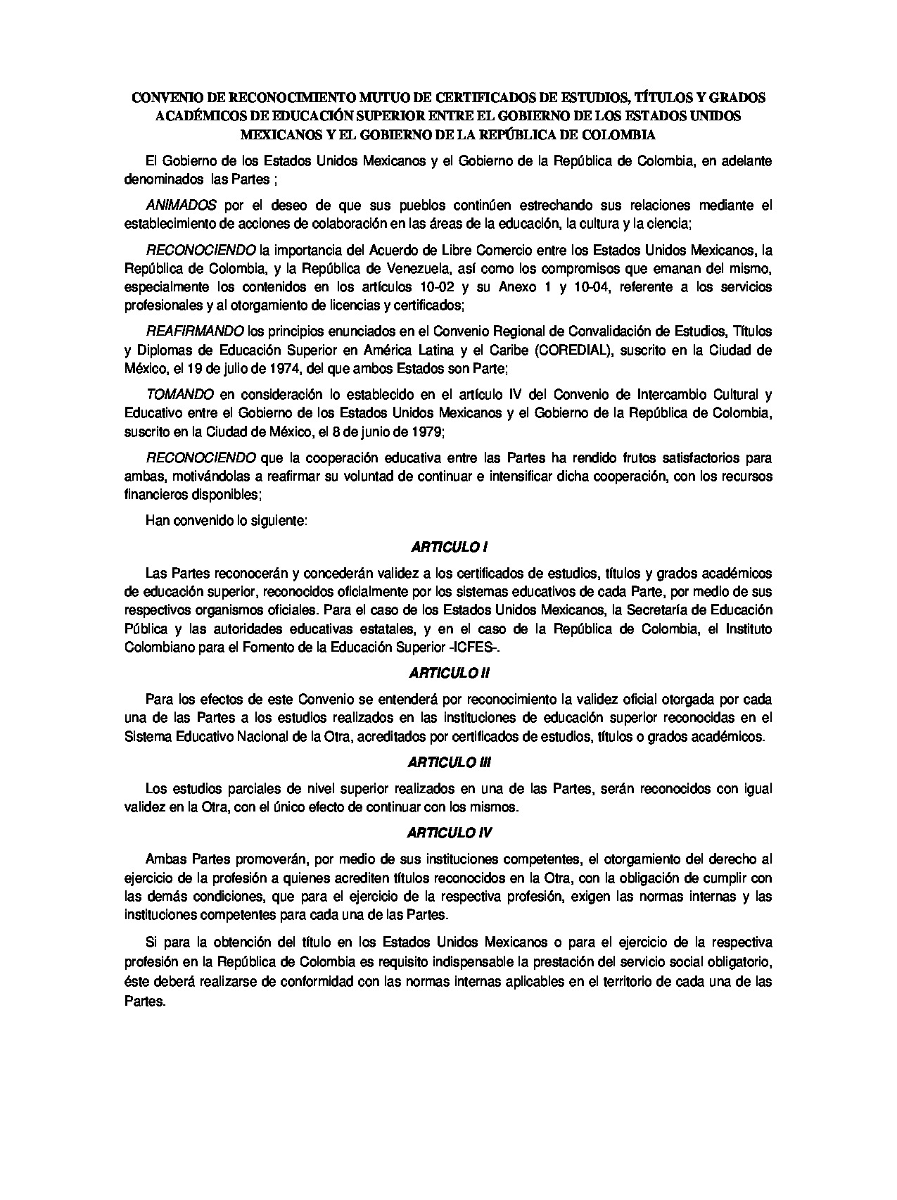 Preview archivo adjunto