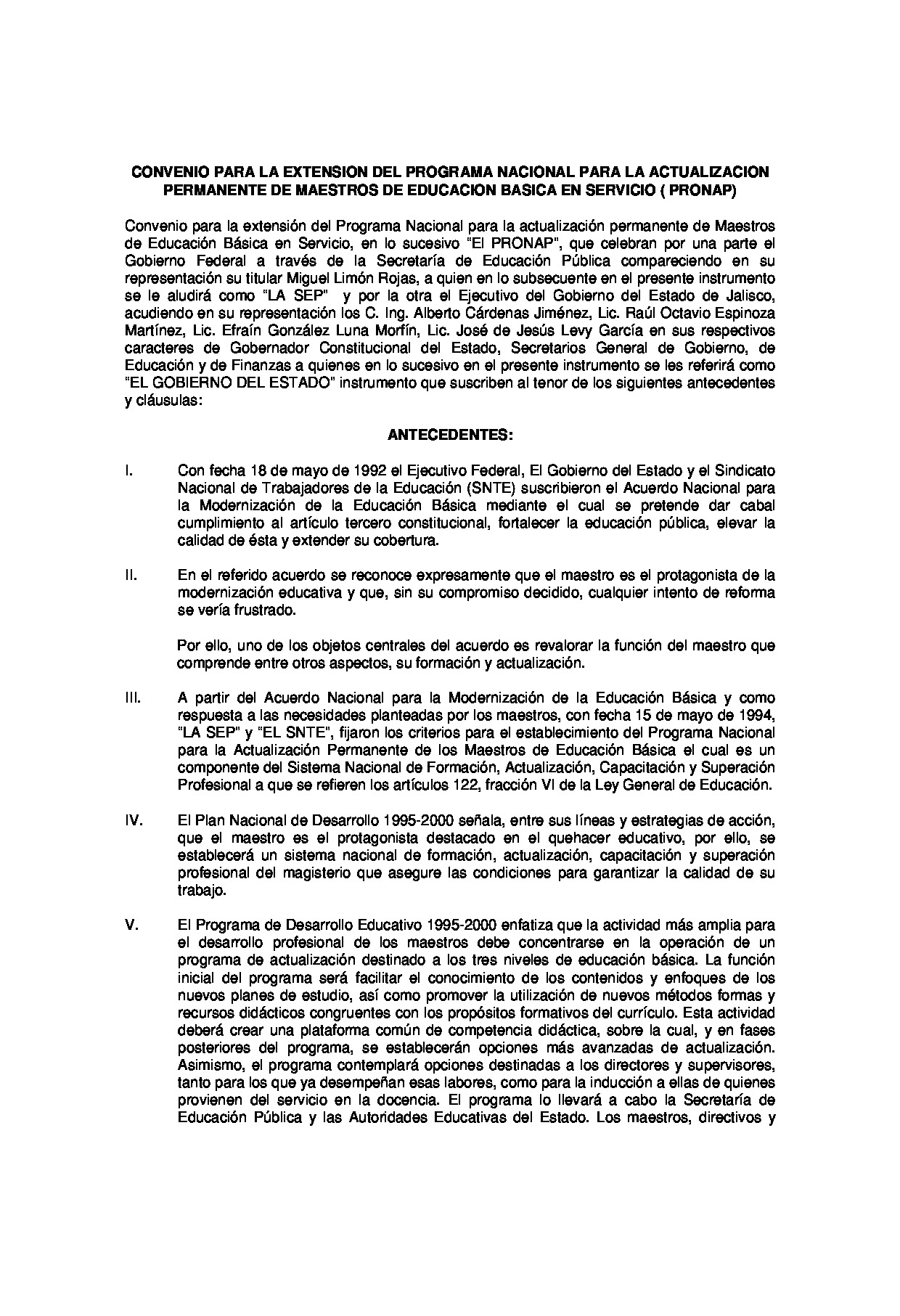 Preview archivo adjunto