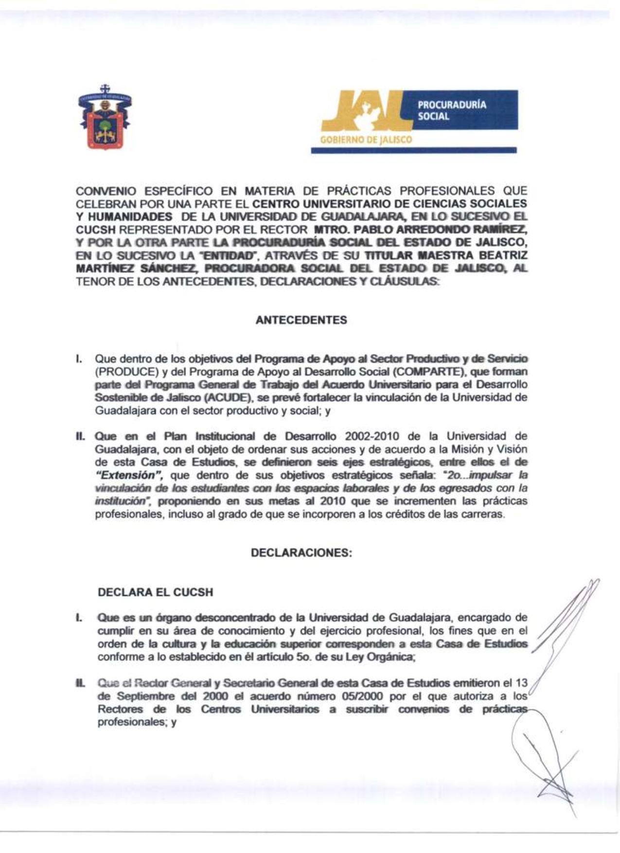 Preview archivo adjunto