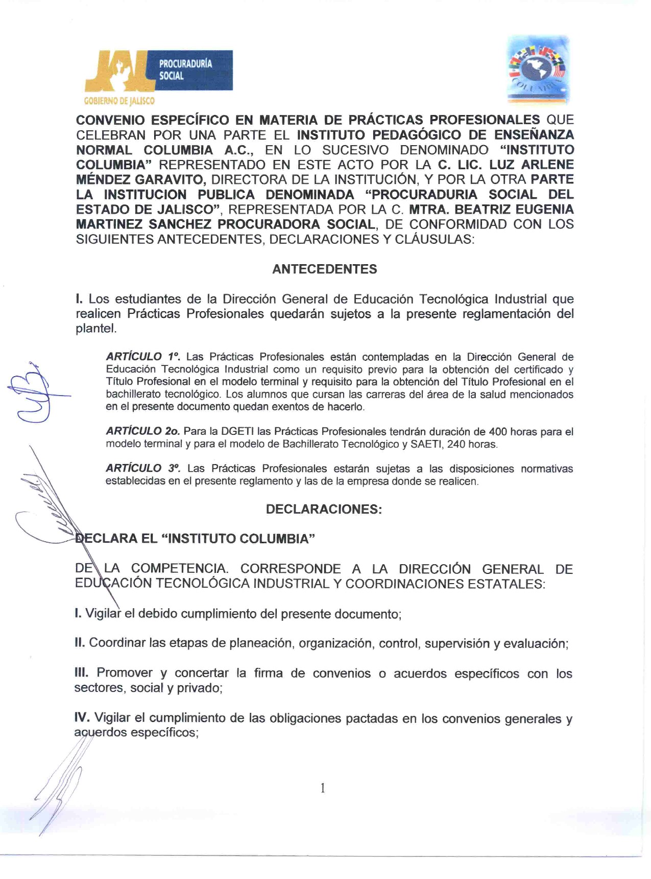 Preview archivo adjunto