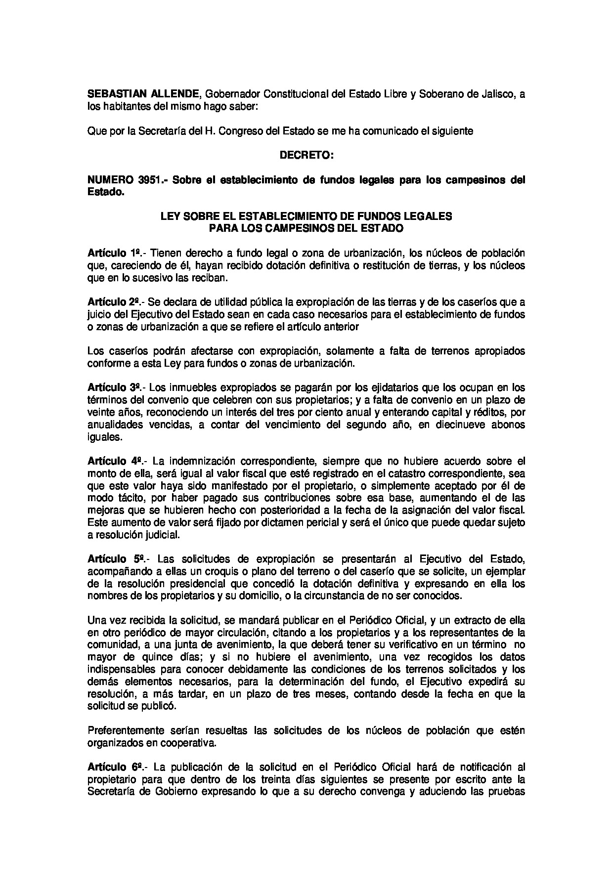 Preview archivo adjunto