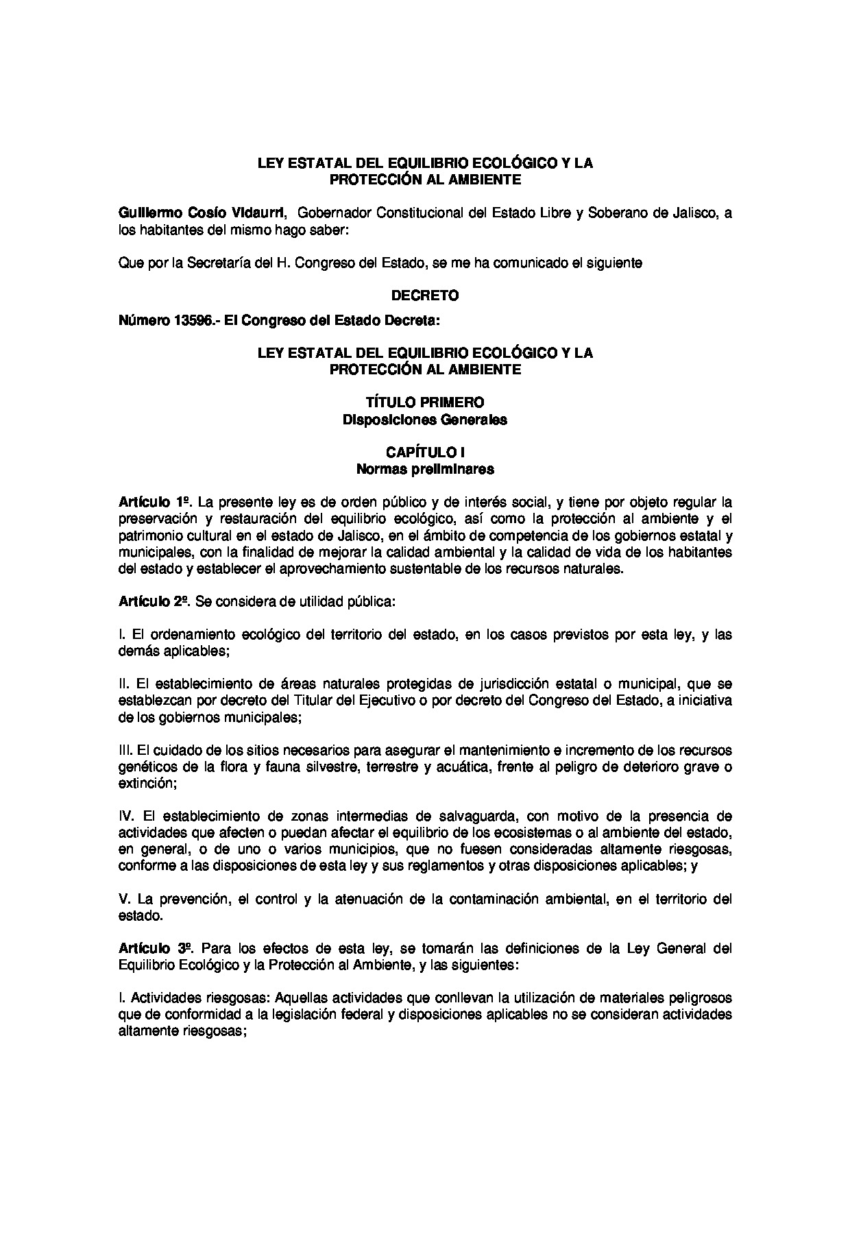 Preview archivo adjunto