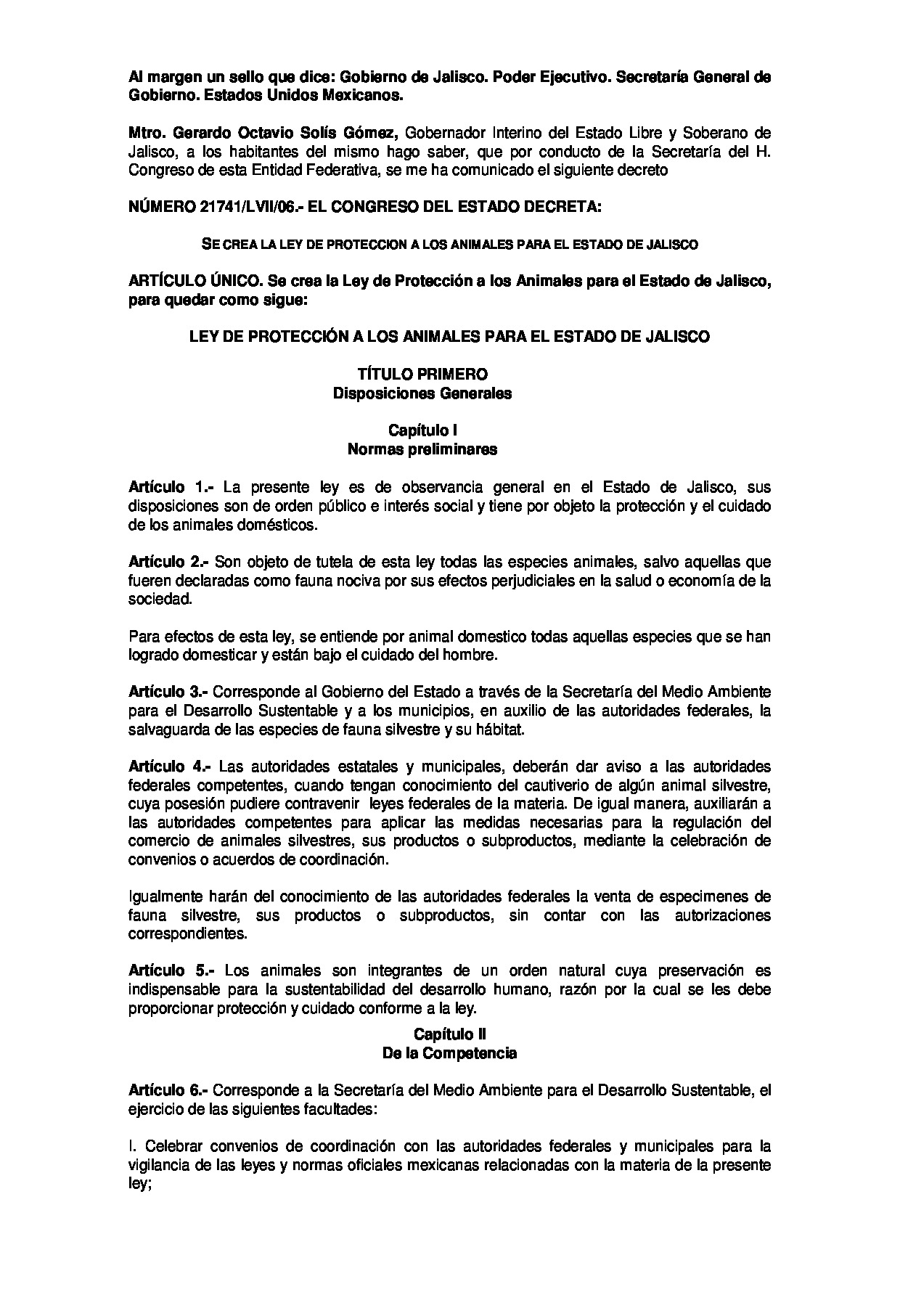 Preview archivo adjunto