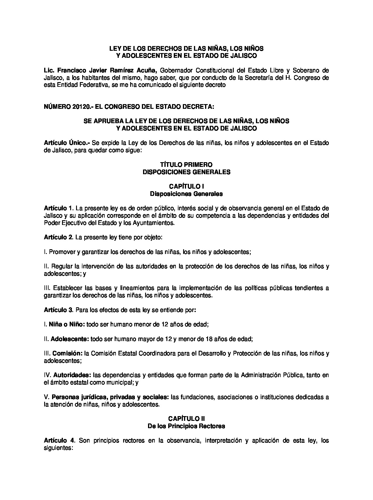 Preview archivo adjunto