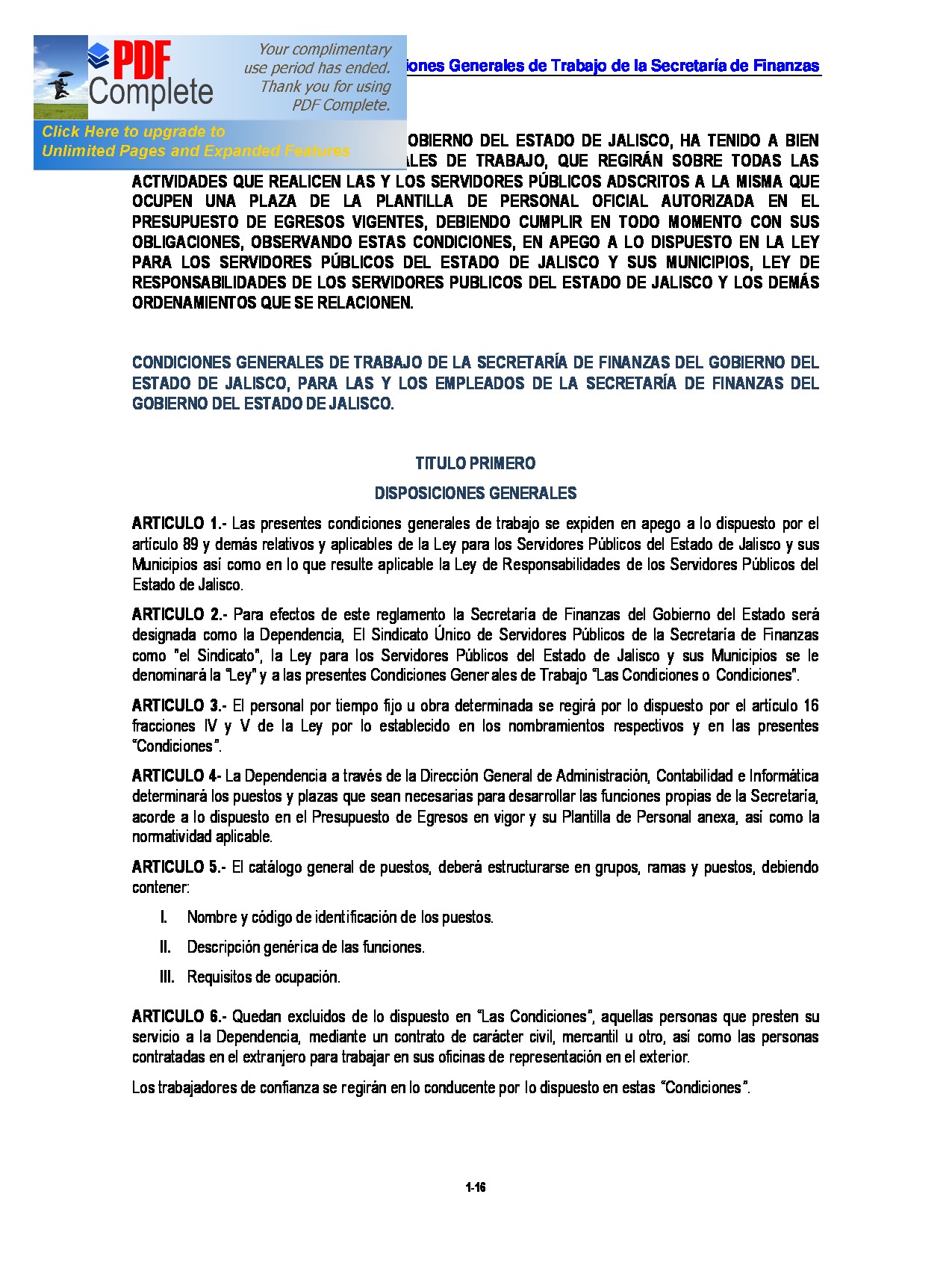 Preview archivo adjunto