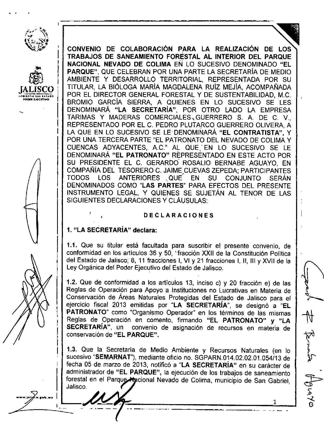 Preview archivo adjunto