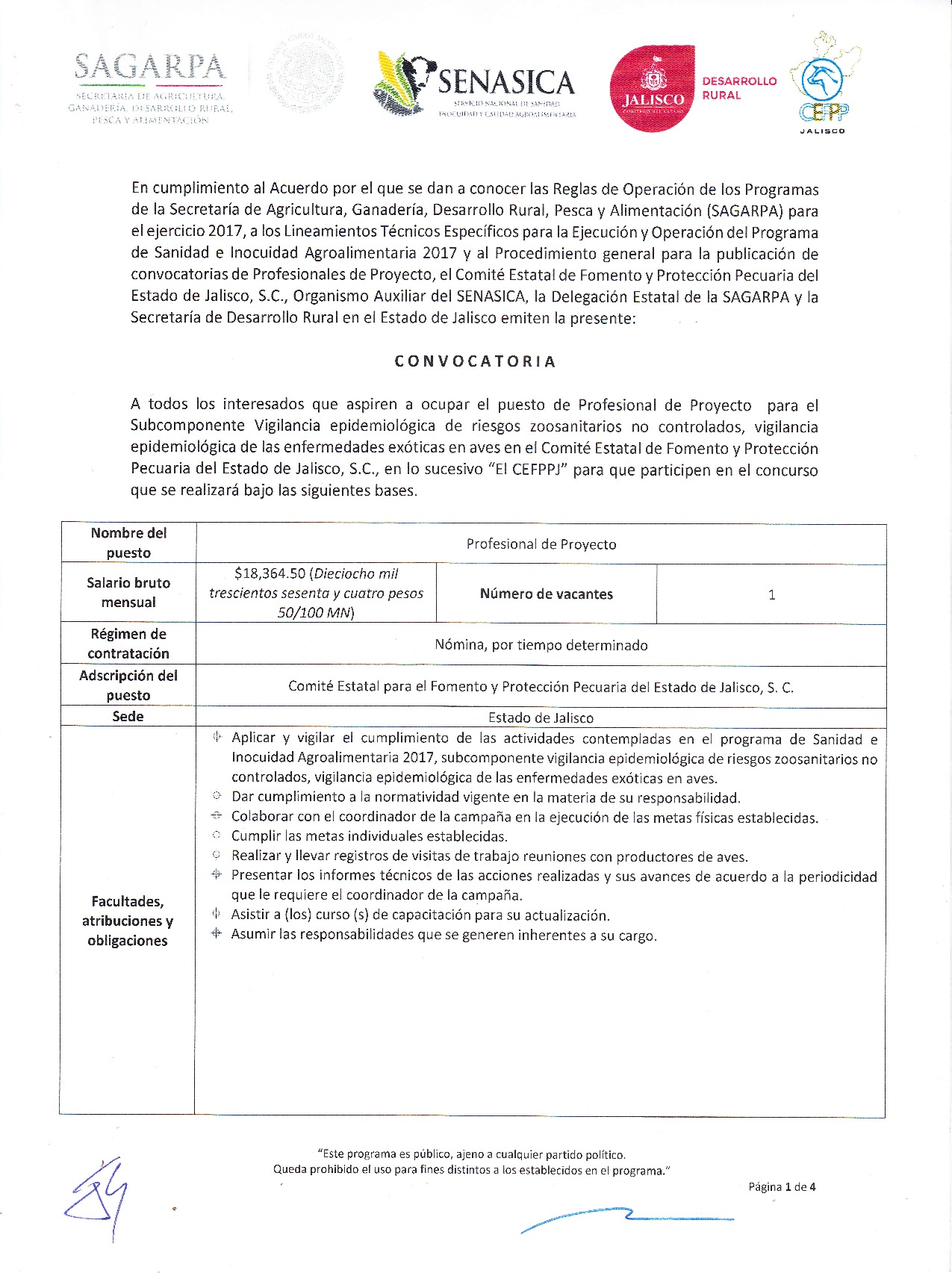 Previsualización de archivo adjunto