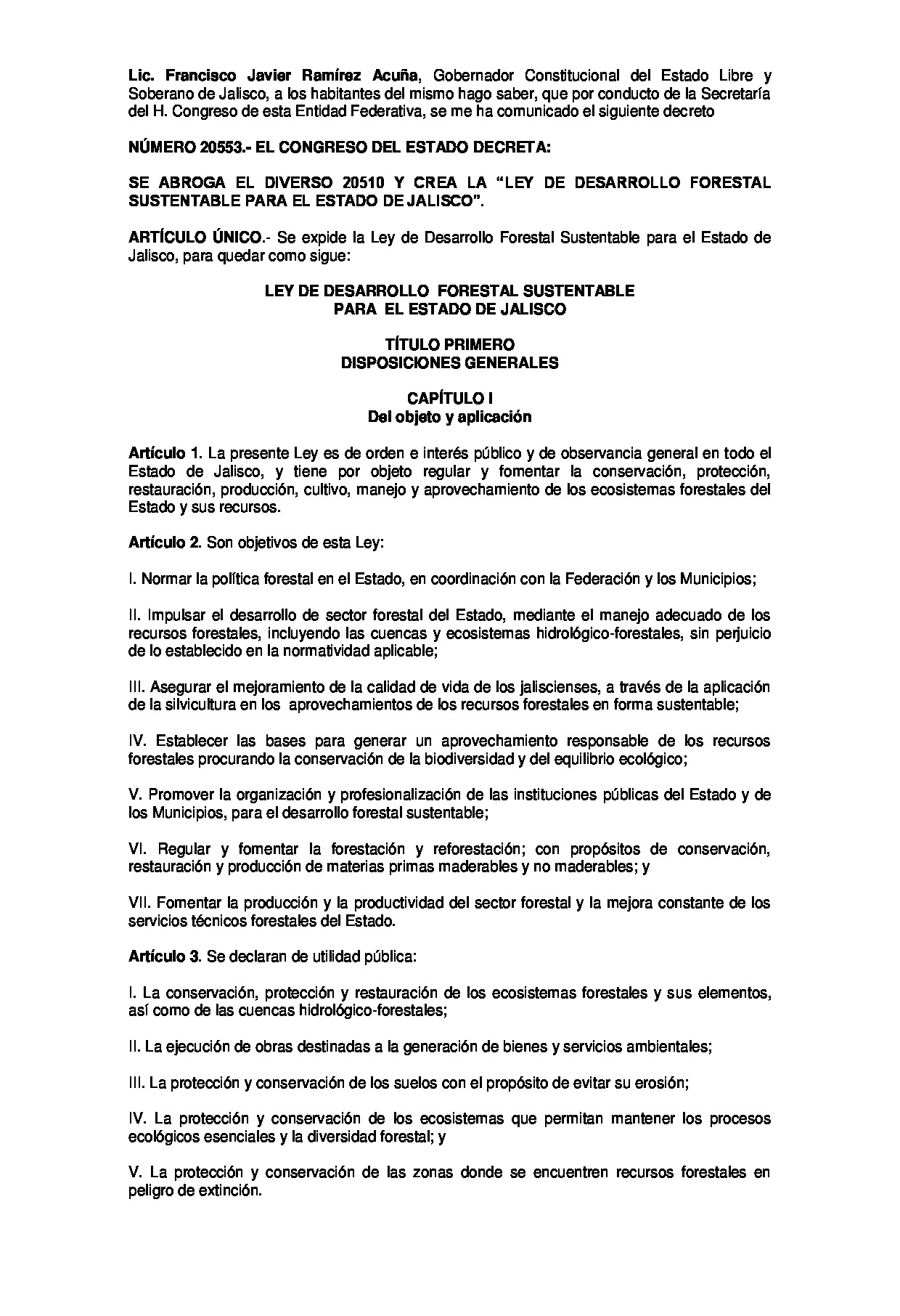 Preview archivo adjunto