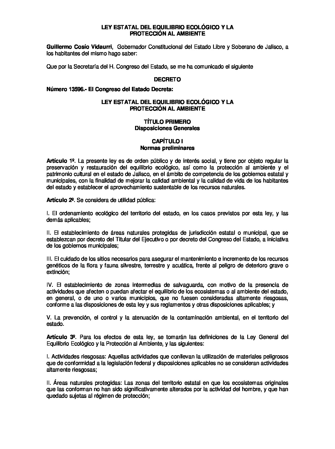 Preview archivo adjunto