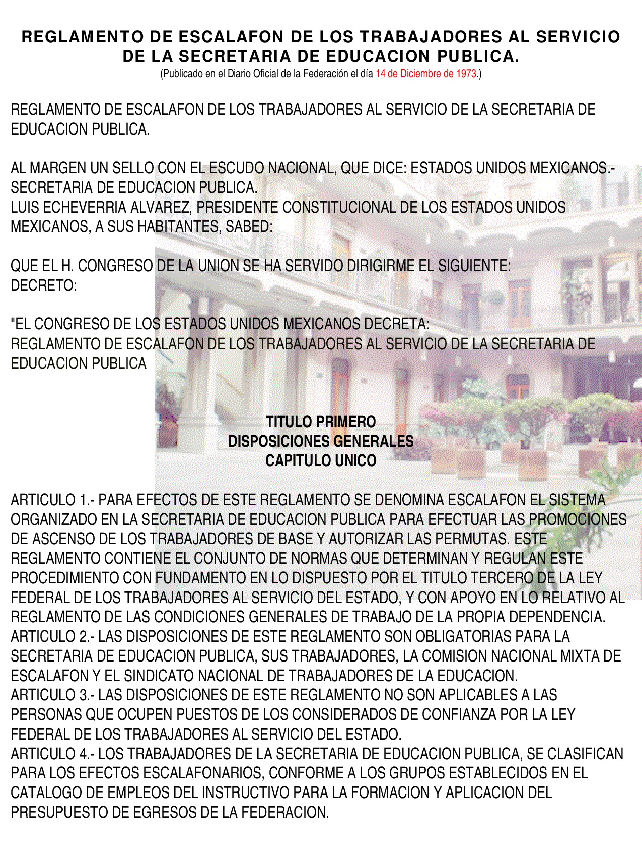 Preview archivo adjunto