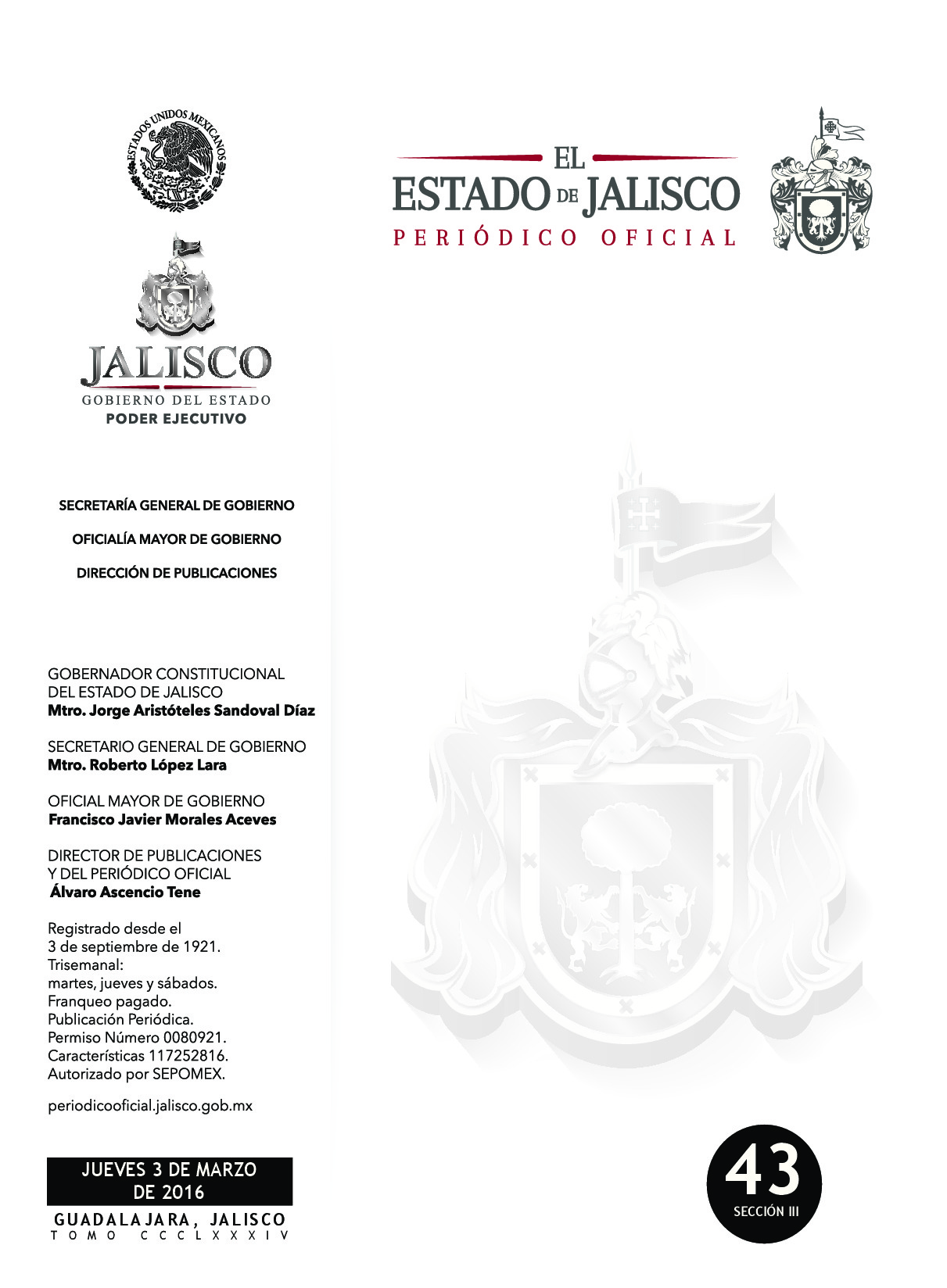 Preview archivo adjunto