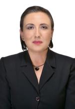 Angelica Castellanos Abundis
